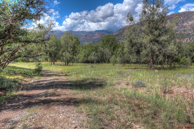 575 County Rd 253, Durango, CO 81301 - view of mountain backdrop featuring a heavily wooded area