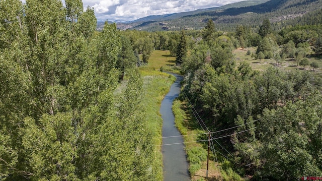 575 County Rd 253, Durango, CO 81301 - drone / aerial view of a mountain backdrop and a forest