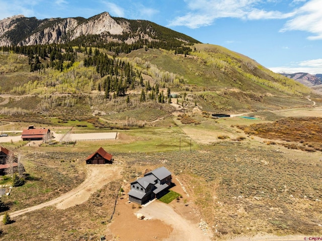 64 Buckhorn Way, Crested Butte, CO 81224 - view of mountain backdrop with rural landscape