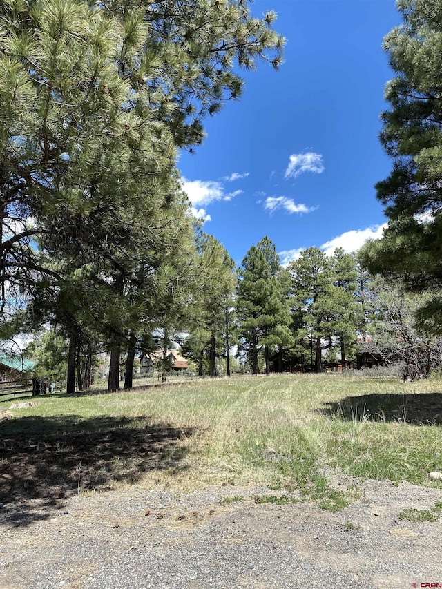 30 Fawn Ct, Pagosa Springs, CO 81147