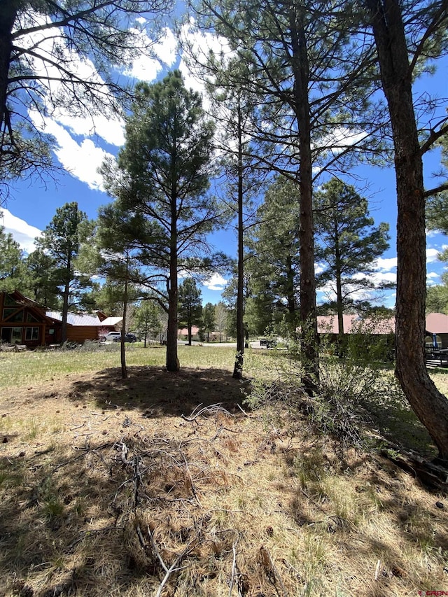 30 Fawn Ct, Pagosa Springs, CO 81147