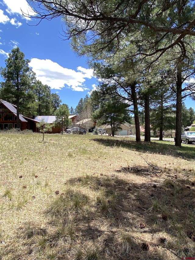 30 Fawn Ct, Pagosa Springs, CO 81147