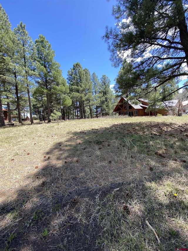30 Fawn Ct, Pagosa Springs, CO 81147