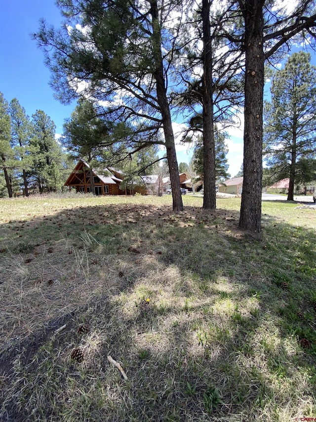 30 Fawn Ct, Pagosa Springs, CO 81147