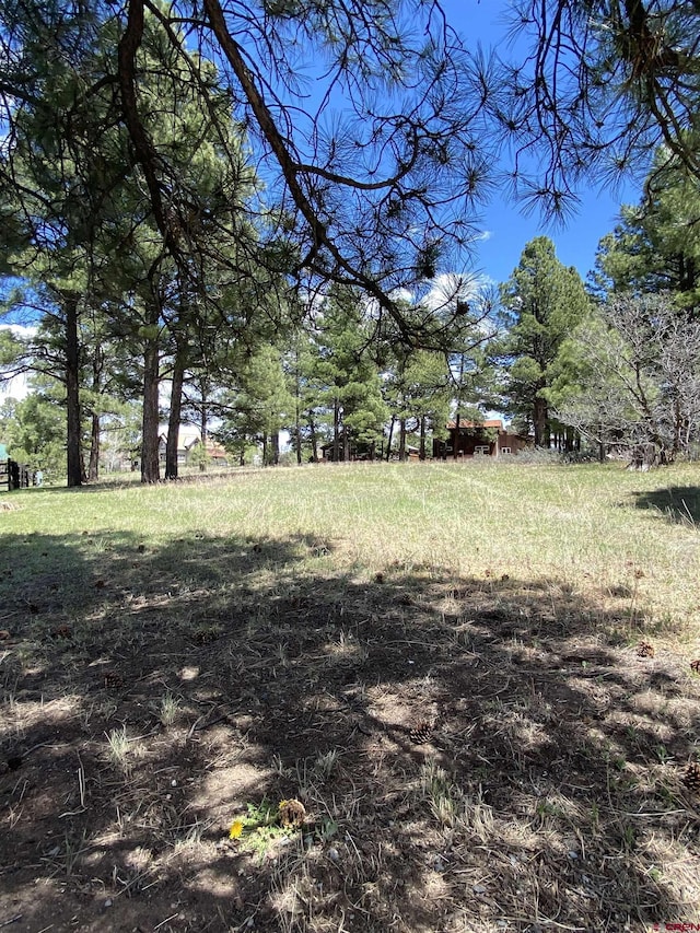 30 Fawn Ct, Pagosa Springs, CO 81147