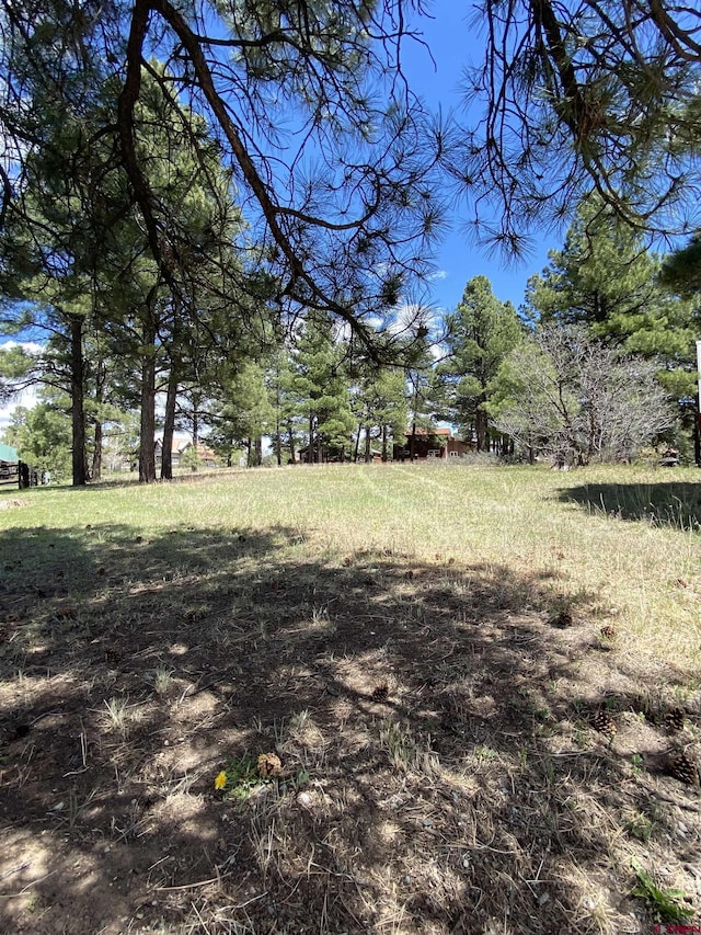30 Fawn Ct, Pagosa Springs, CO 81147