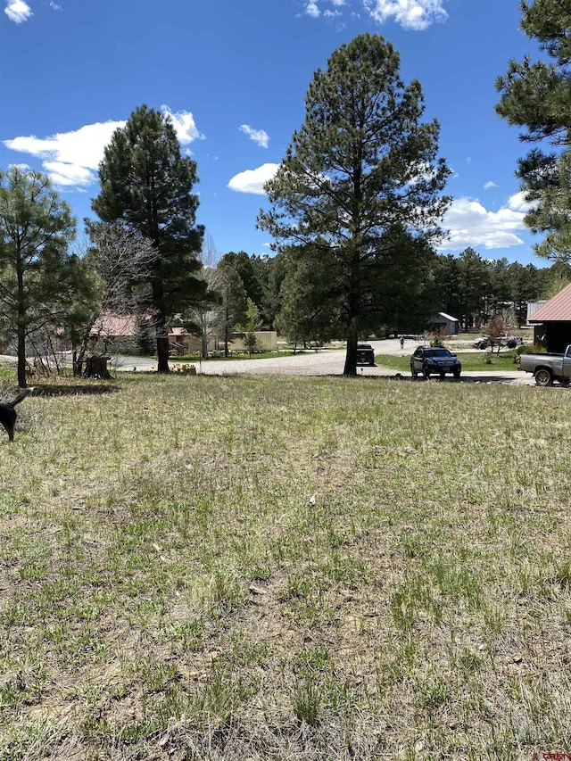 30 Fawn Ct, Pagosa Springs, CO 81147