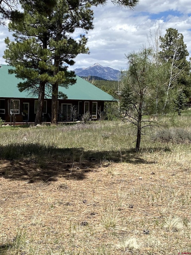 30 Fawn Ct, Pagosa Springs, CO 81147