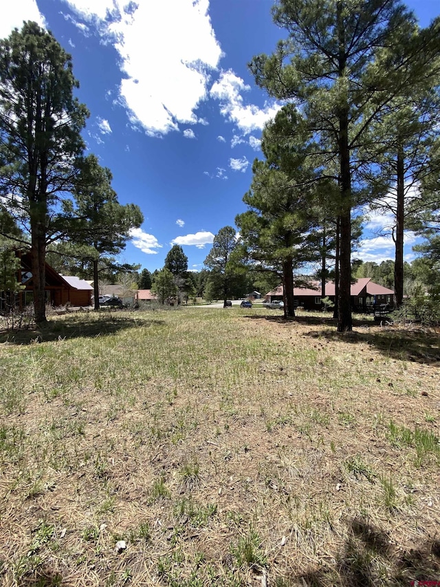 30 Fawn Ct, Pagosa Springs, CO 81147