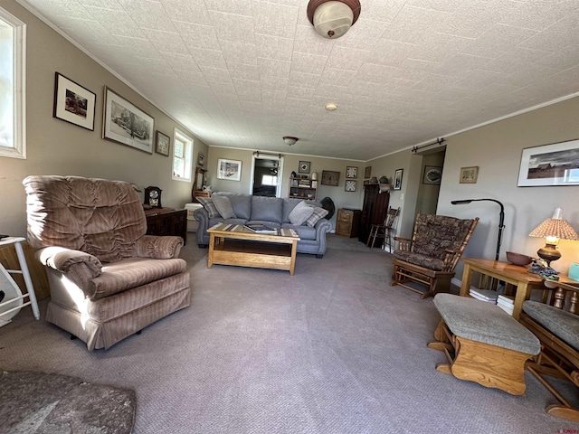 6477 W County Road 9n, Del Norte, CO 81132 - living area featuring ornamental molding and carpet flooring