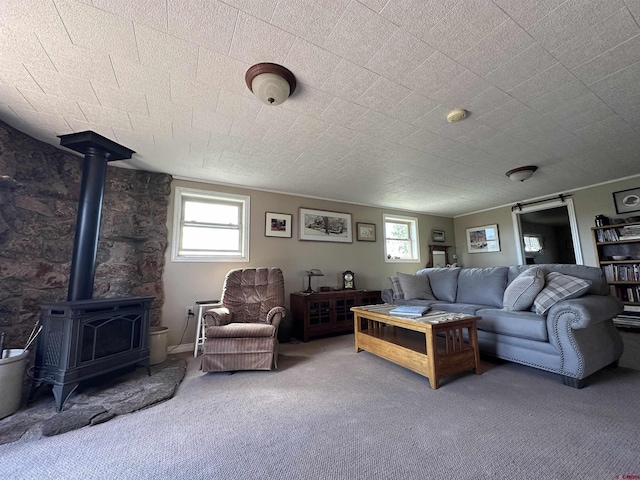 6477 W County Road 9n, Del Norte, CO 81132 - carpeted living room with a wood stove and plenty of natural light