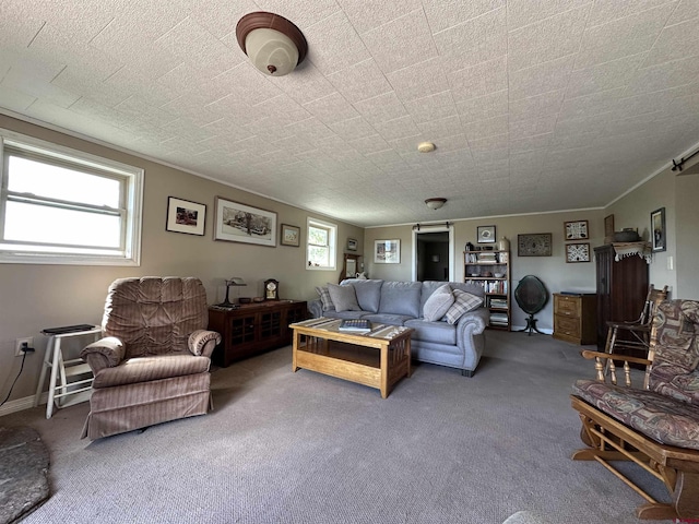 6477 W County Road 9n, Del Norte, CO 81132 - living room with carpet floors and crown molding