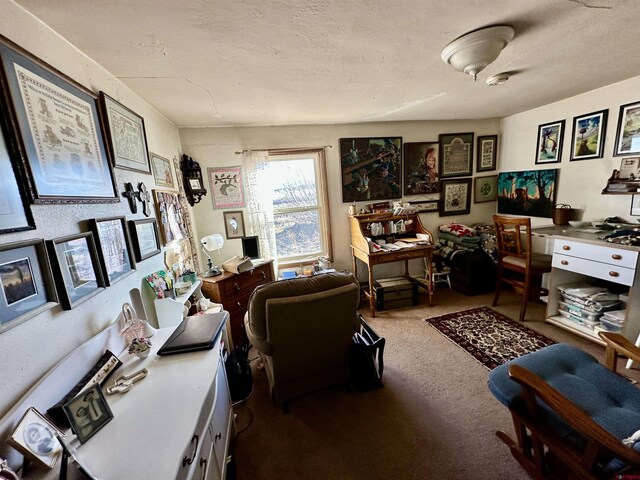 6477 W County Road 9n, Del Norte, CO 81132 - carpeted office space featuring a textured ceiling
