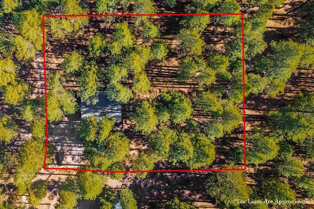 343 Deer Trail Ln, Bayfield, CO 81122 - aerial view of property and surrounding area with property boundaries highlighted