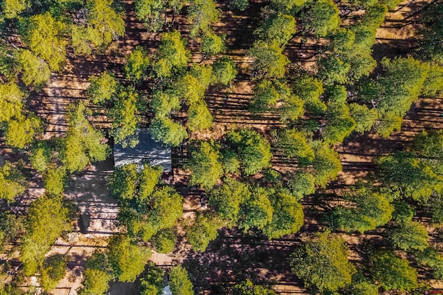 343 Deer Trail Ln, Bayfield, CO 81122 - aerial view