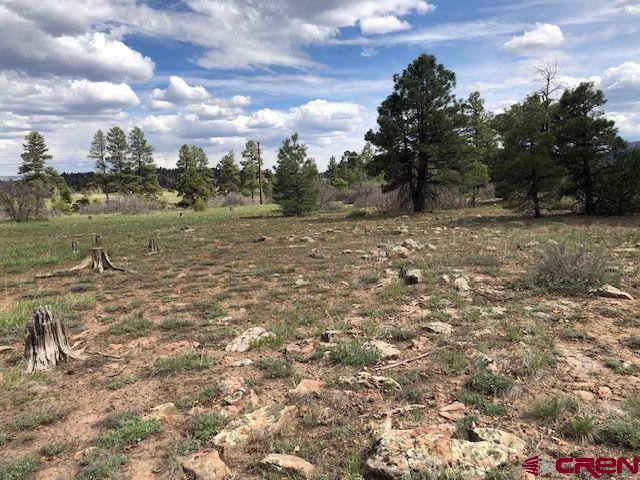 134 Prospect Blvd, Pagosa Springs, CO 81147