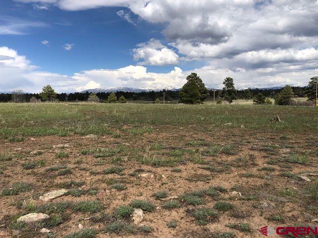 134 Prospect Blvd, Pagosa Springs, CO 81147