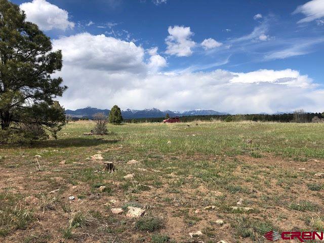 134 Prospect Blvd, Pagosa Springs, CO 81147