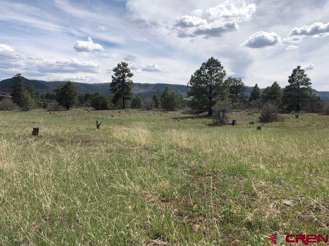134 Prospect Blvd, Pagosa Springs, CO 81147