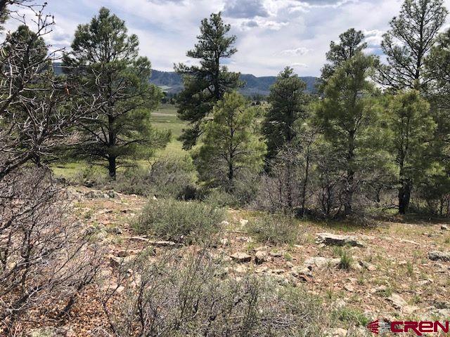 134 Prospect Blvd, Pagosa Springs, CO 81147