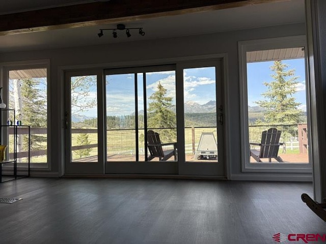 541 Perry Dr, Pagosa Springs, CO 81147 - doorway featuring wood finished floors and rail lighting