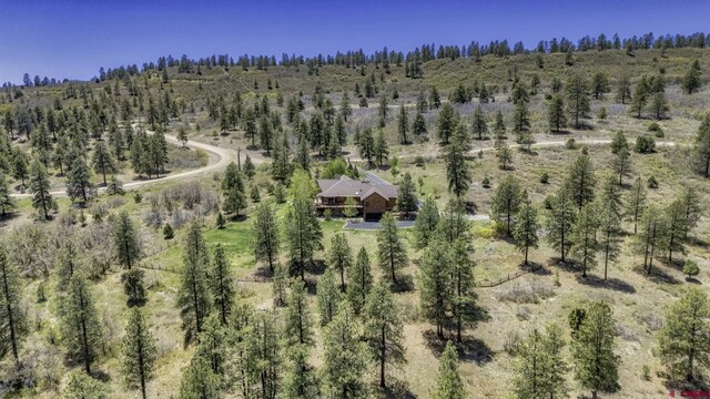 50 W Durango Ridge Rd, Durango, CO 81301 - aerial view of sparsely populated area