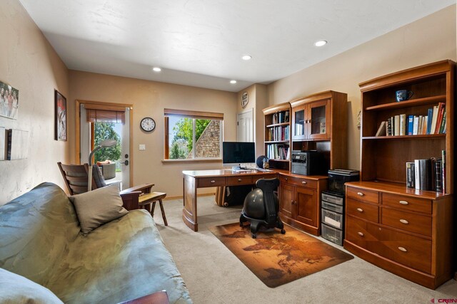 50 W Durango Ridge Rd, Durango, CO 81301 - office area with light colored carpet and recessed lighting