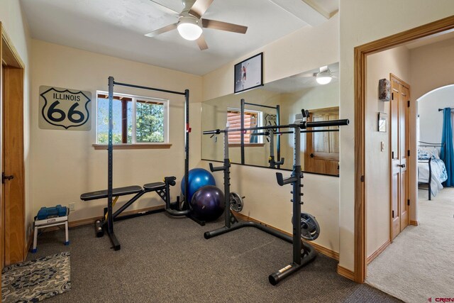 50 W Durango Ridge Rd, Durango, CO 81301 - exercise room featuring a ceiling fan, carpet flooring, and baseboards