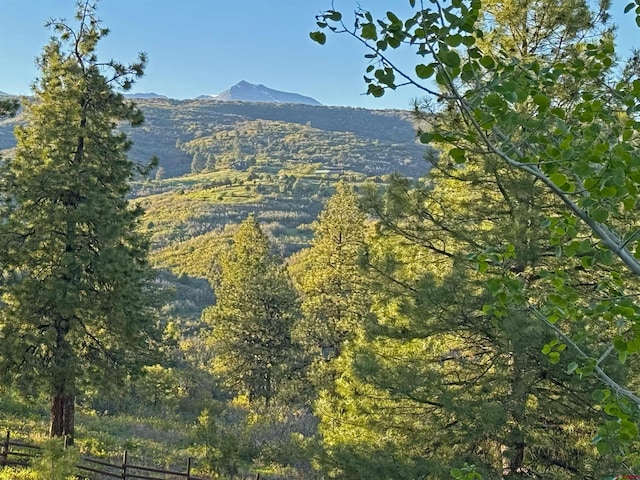 50 W Durango Ridge Rd, Durango, CO 81301 - view of mountain background
