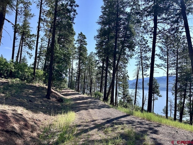 13886 County Road 501, Bayfield, CO 81122