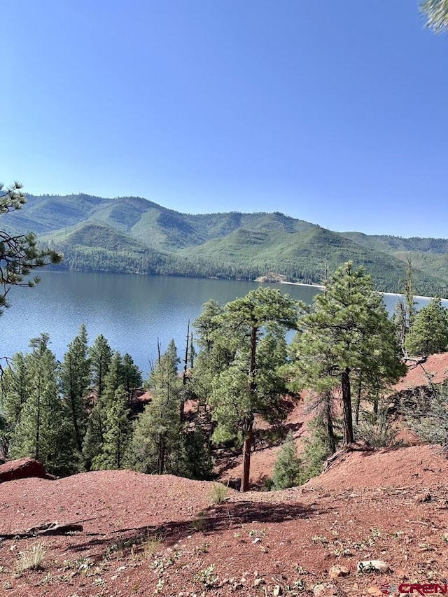 13886 County Road 501, Bayfield, CO 81122