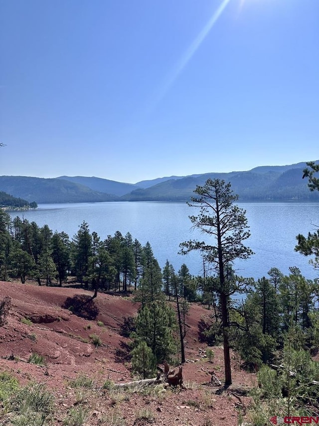 13886 County Road 501, Bayfield, CO 81122