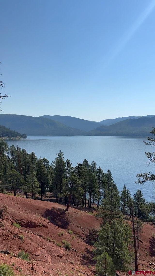 13886 County Road 501, Bayfield, CO 81122