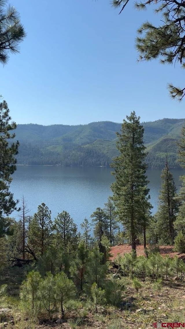 13886 County Road 501, Bayfield, CO 81122