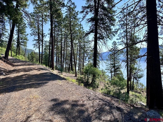 13886 County Road 501, Bayfield, CO 81122