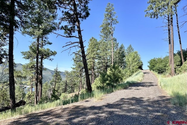 13886 County Road 501, Bayfield, CO 81122