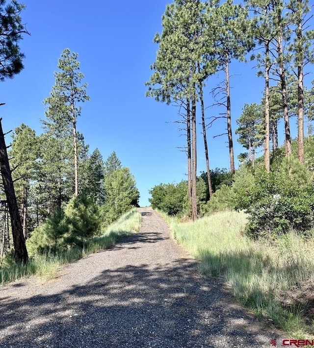 13886 County Road 501, Bayfield, CO 81122