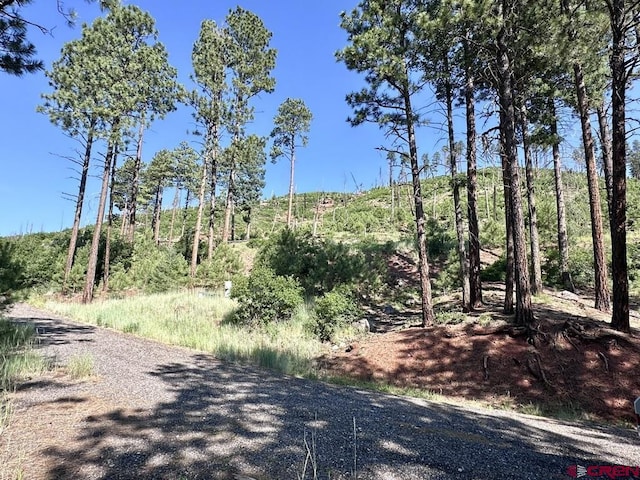 13886 County Road 501, Bayfield, CO 81122