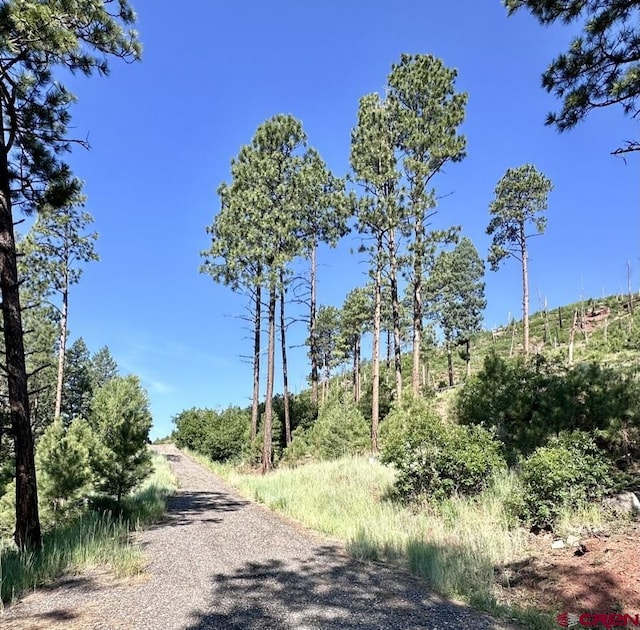 13886 County Road 501, Bayfield, CO 81122
