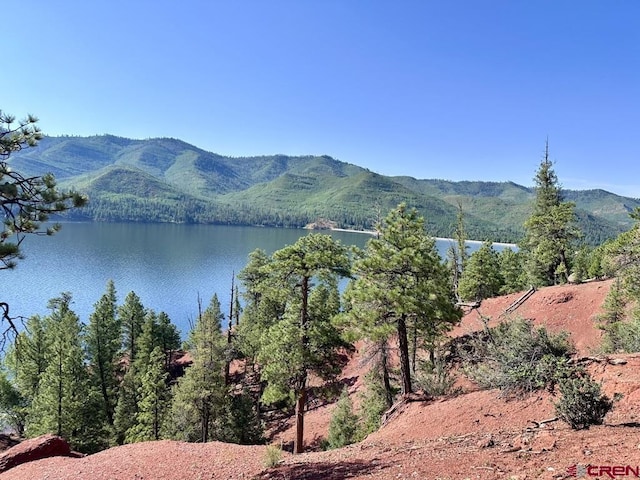 13886 County Road 501, Bayfield, CO 81122