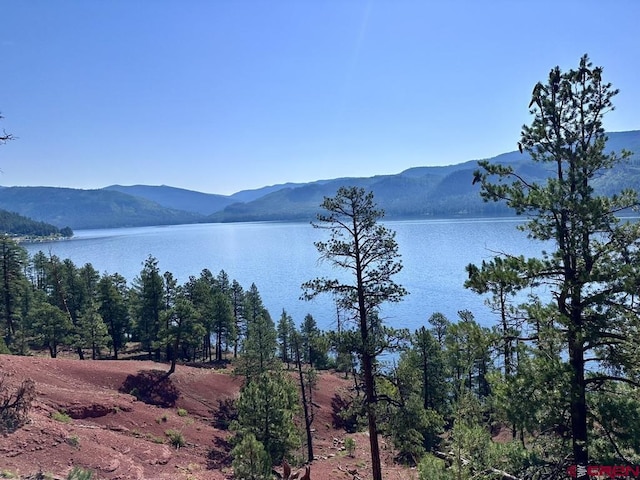 13886 County Road 501, Bayfield, CO 81122
