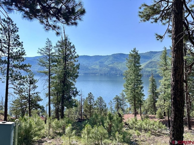 13886 County Road 501, Bayfield, CO 81122