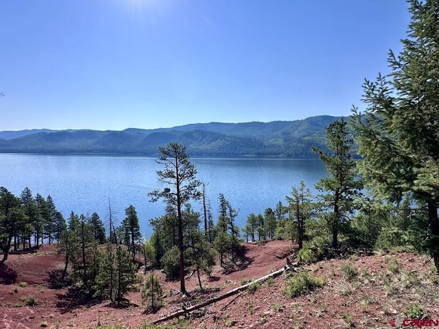 13886 County Road 501, Bayfield, CO 81122