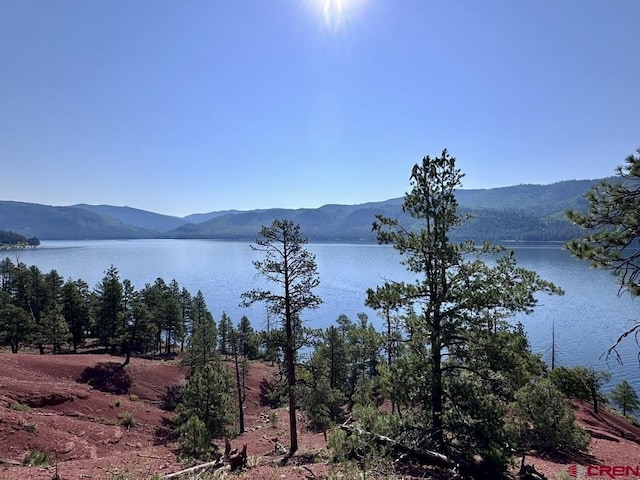 13886 County Road 501, Bayfield, CO 81122