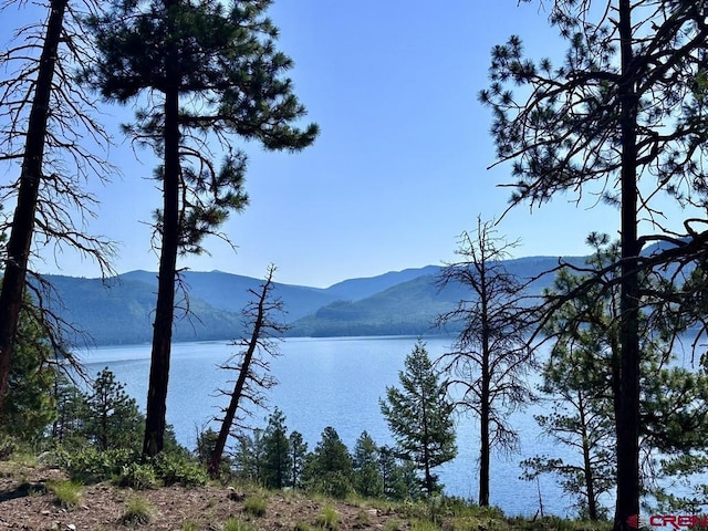 13886 County Road 501, Bayfield, CO 81122