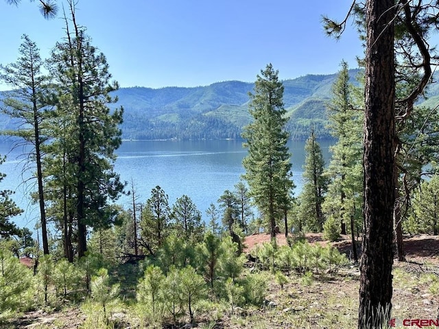13886 County Road 501, Bayfield, CO 81122