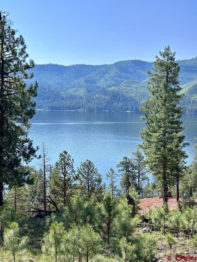 13886 County Road 501, Bayfield, CO 81122