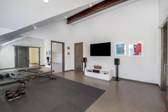 6 Moon Ridge Ln, Crested Butte, CO 81224 - workout room featuring baseboards, high vaulted ceiling, a barn door, and recessed lighting
