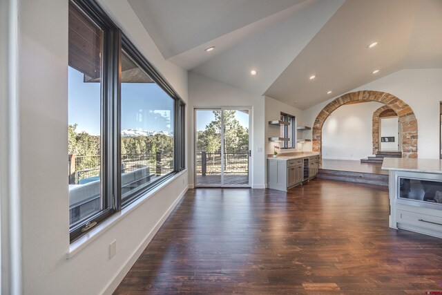 182 Juniper Rd S, Ridgway, CO 81432 - kitchen featuring lofted ceiling, stainless steel microwave, dark wood-style flooring, recessed lighting, and light countertops