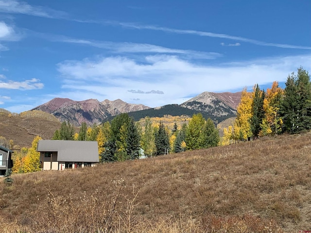 18 Cinnamon Mountain Rd, Mount Crested Butte, CO 81225
